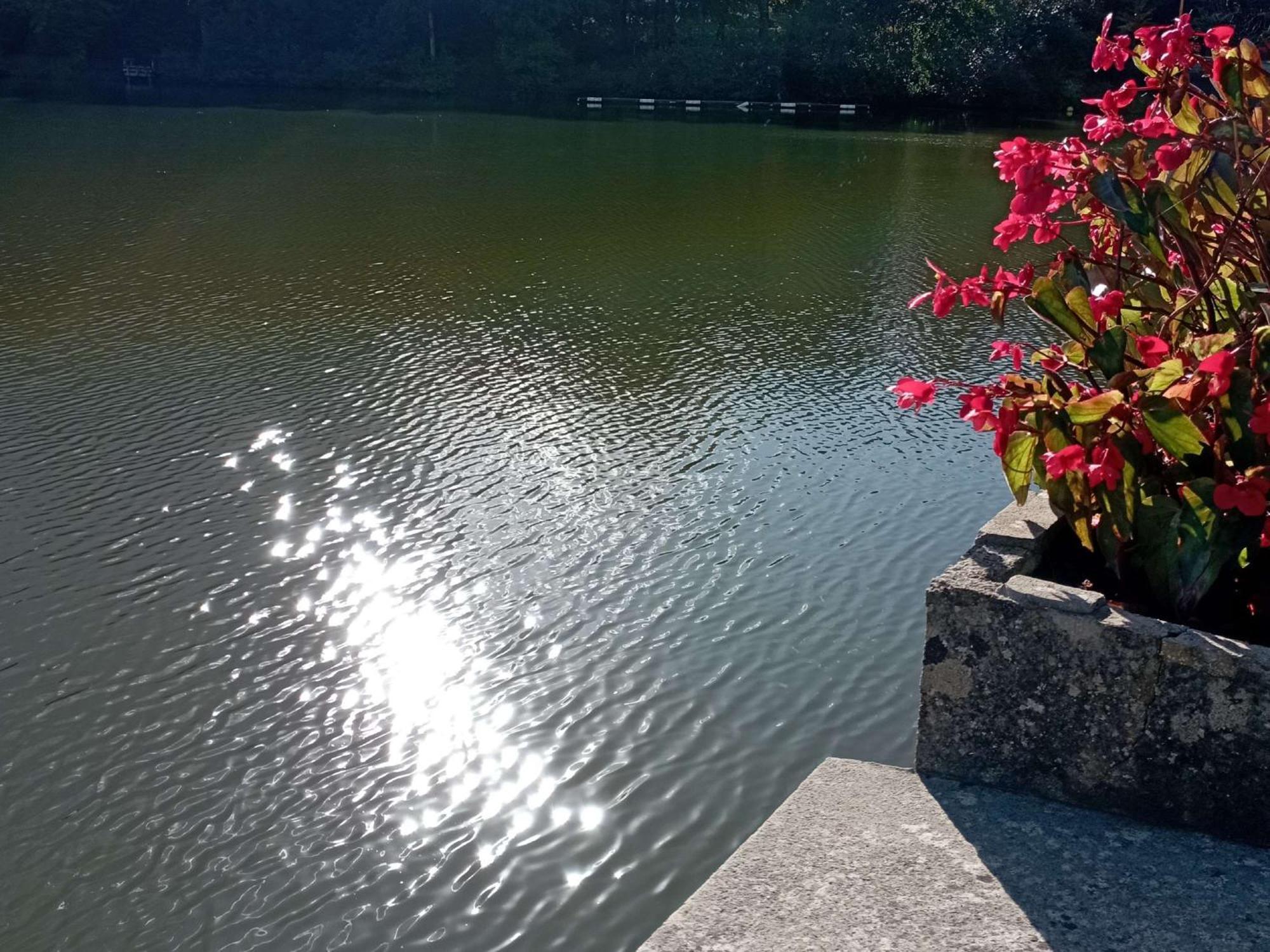 فندق Ibis Les Etangs Des Moines Fourmies المظهر الخارجي الصورة